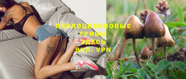 тгк Баксан