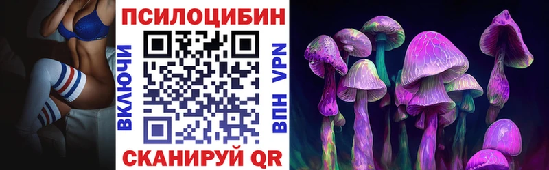 Псилоцибиновые грибы Cubensis  Купить где  Горно-Алтайск 